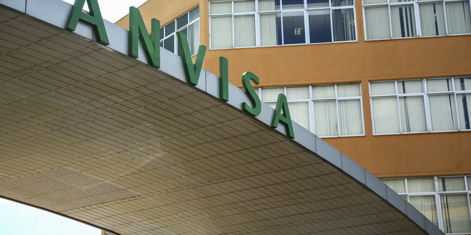 anvisa-manda-recolher-panetones-com-fungo