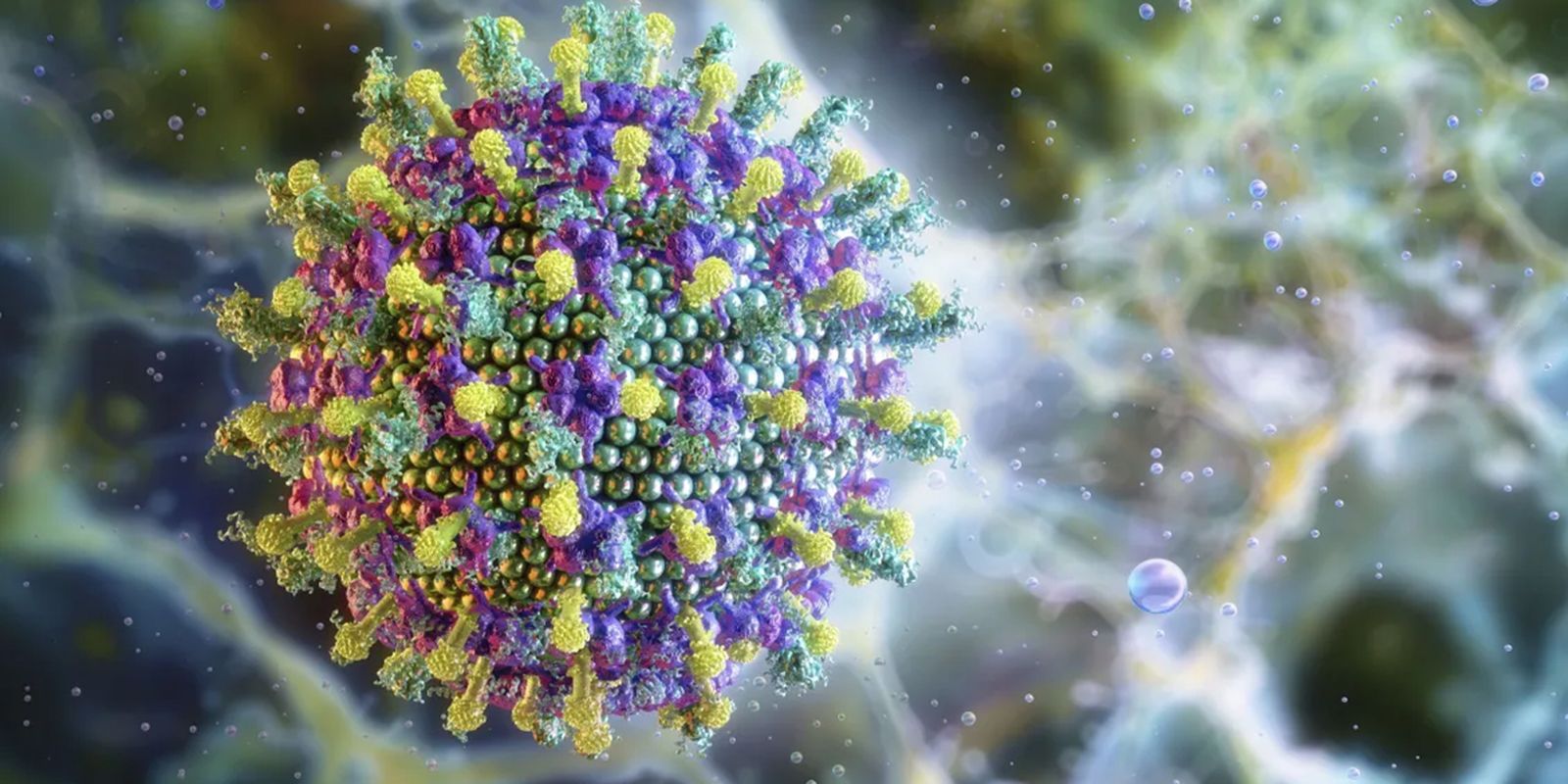 nipah:-saiba-mais-sobre-o-virus-que-preocupa-a-asia