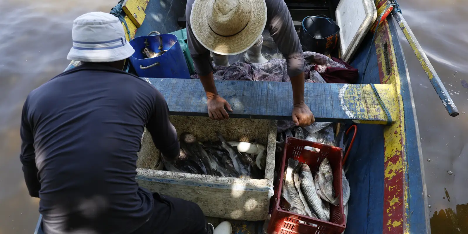 pescadores-beneficiados-pelo-seguro-defeso-recebem-6o-lote-nesta-terca