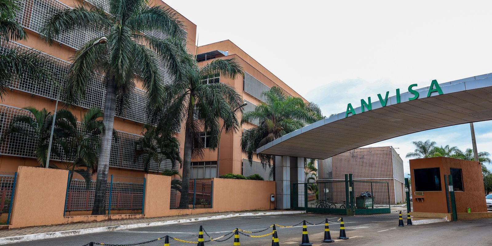 anvisa-manda-recolher-lote-de-dipirona-com-desvio-de-qualidade