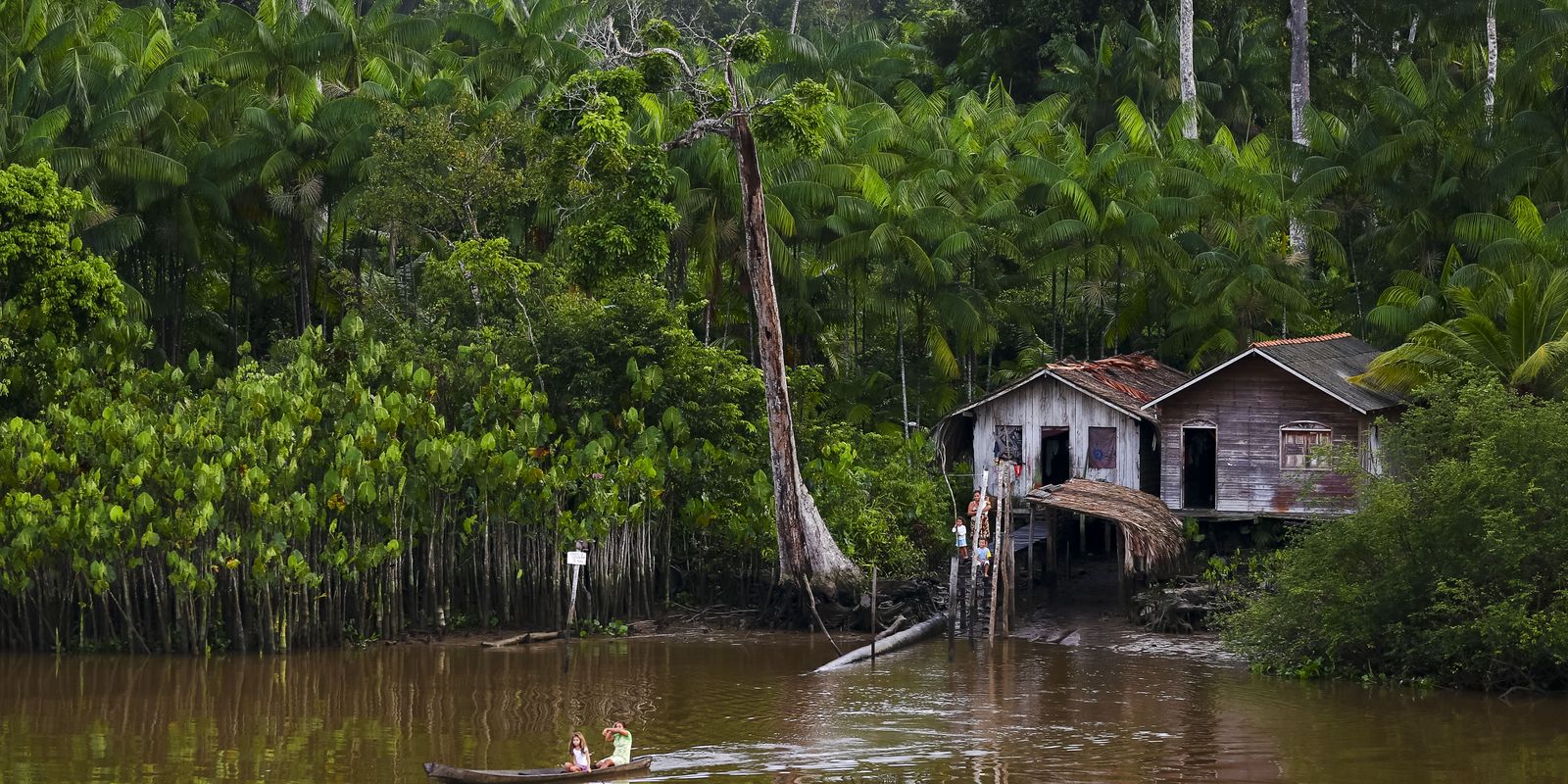 projeto-leva-tratamento-gratuito-a-doencas-negligenciadas-no-amazonas