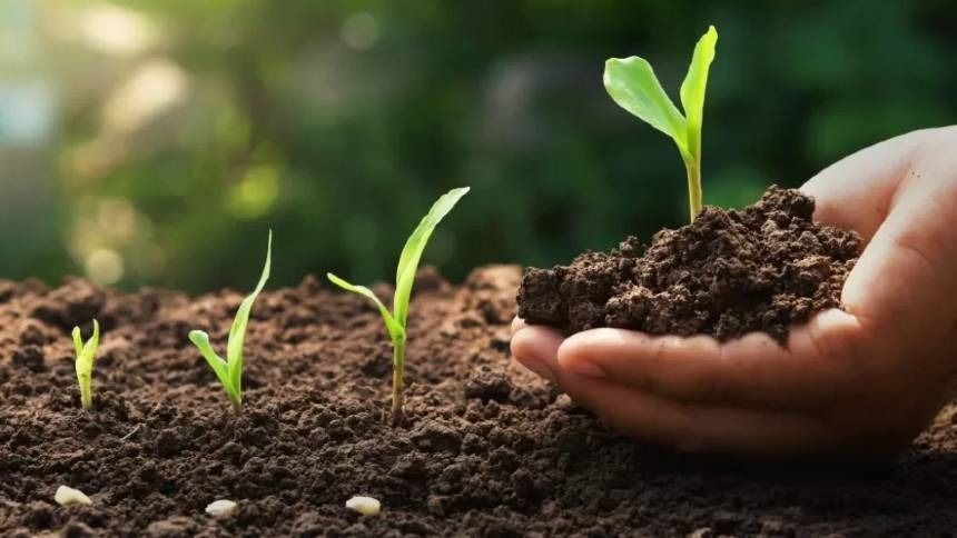 parceria-entre-brasil-e-noruega-cresce-com-o-comercio-de-fertilizantes