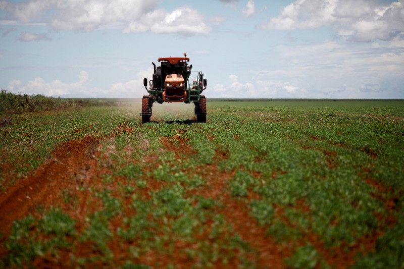 producao-interna-de-fertilizantes-seria-melhor-ao-brasil,-diz-especialista
