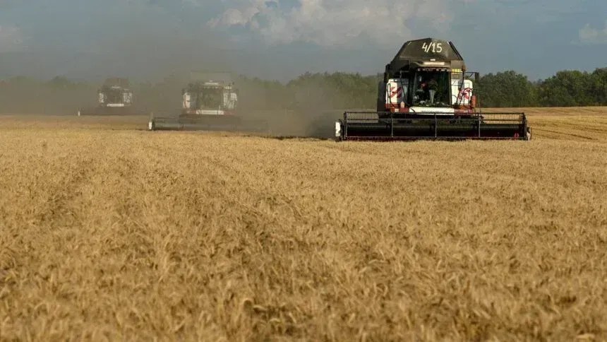 relatorio-usda-aponta-poucas-mudancas-para-graos
